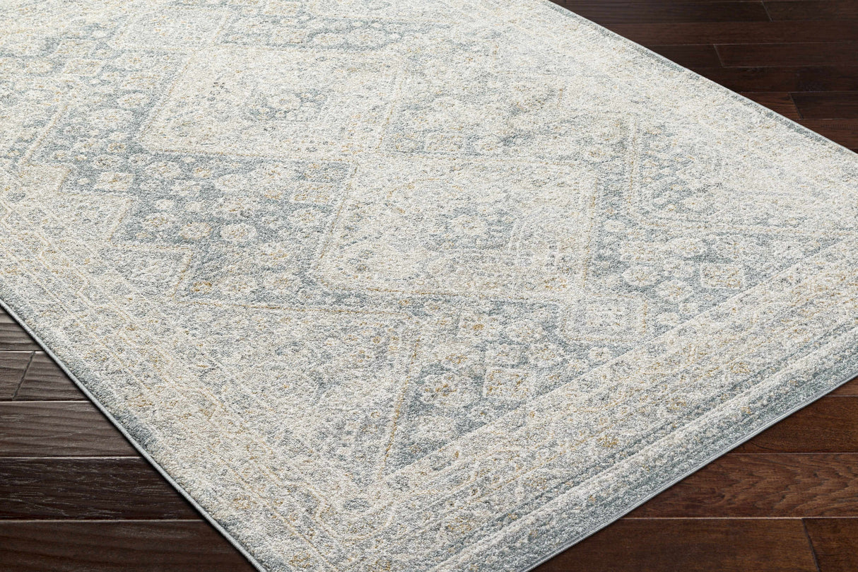 Sagen Blue Medallion Area Rug - Clearance