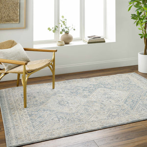 Sagen Blue Medallion Area Rug - Clearance