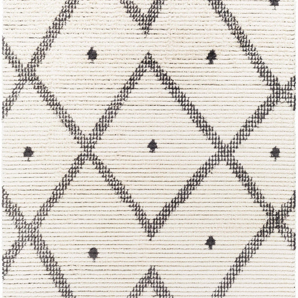 Shae Area Rug