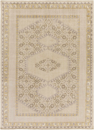 Shoemakersville Area Rug - Clearance
