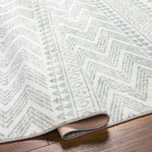 Danon Washable Area Rug - Clearance