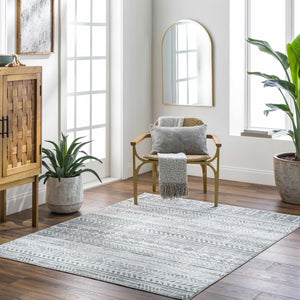Ianna Light Gray Washable Area Rug - Clearance