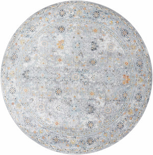Finn Silver Blue Area Rug