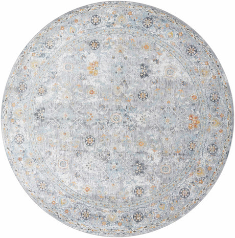 Finn Silver Blue Area Rug
