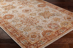 Ange Rust Rich Textured Traditional Rug