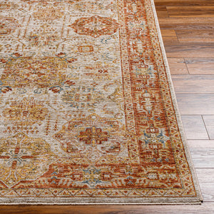 Ange Rust Rich Textured Traditional Rug