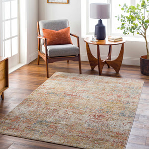 Sava Rust Rich Textured Traditional Rug