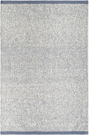 Nenet Blue Gray Hand Woven Area Rug - Clearance