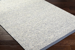 Nenet Blue Gray Hand Woven Area Rug - Clearance