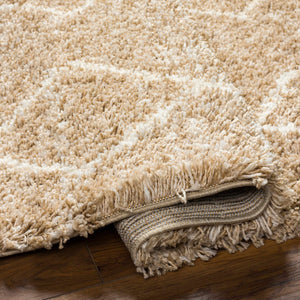 Ishan Area Rug