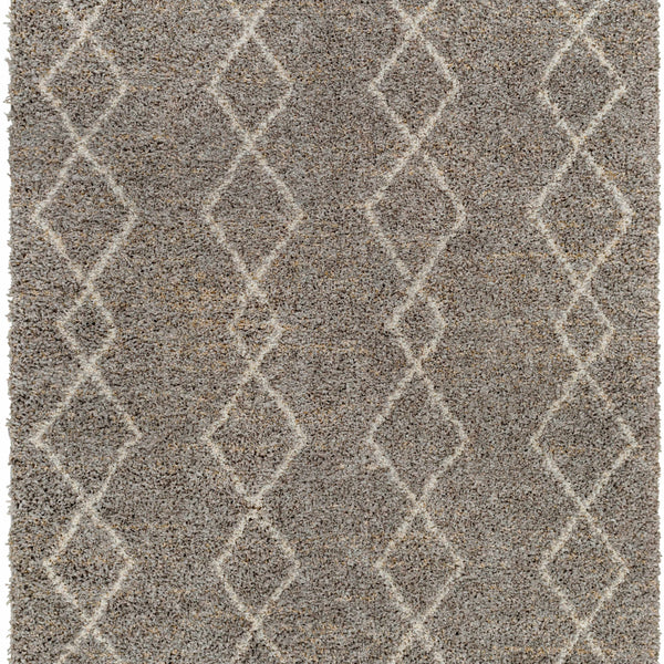 Ishan Taupe Area Rug - Clearance
