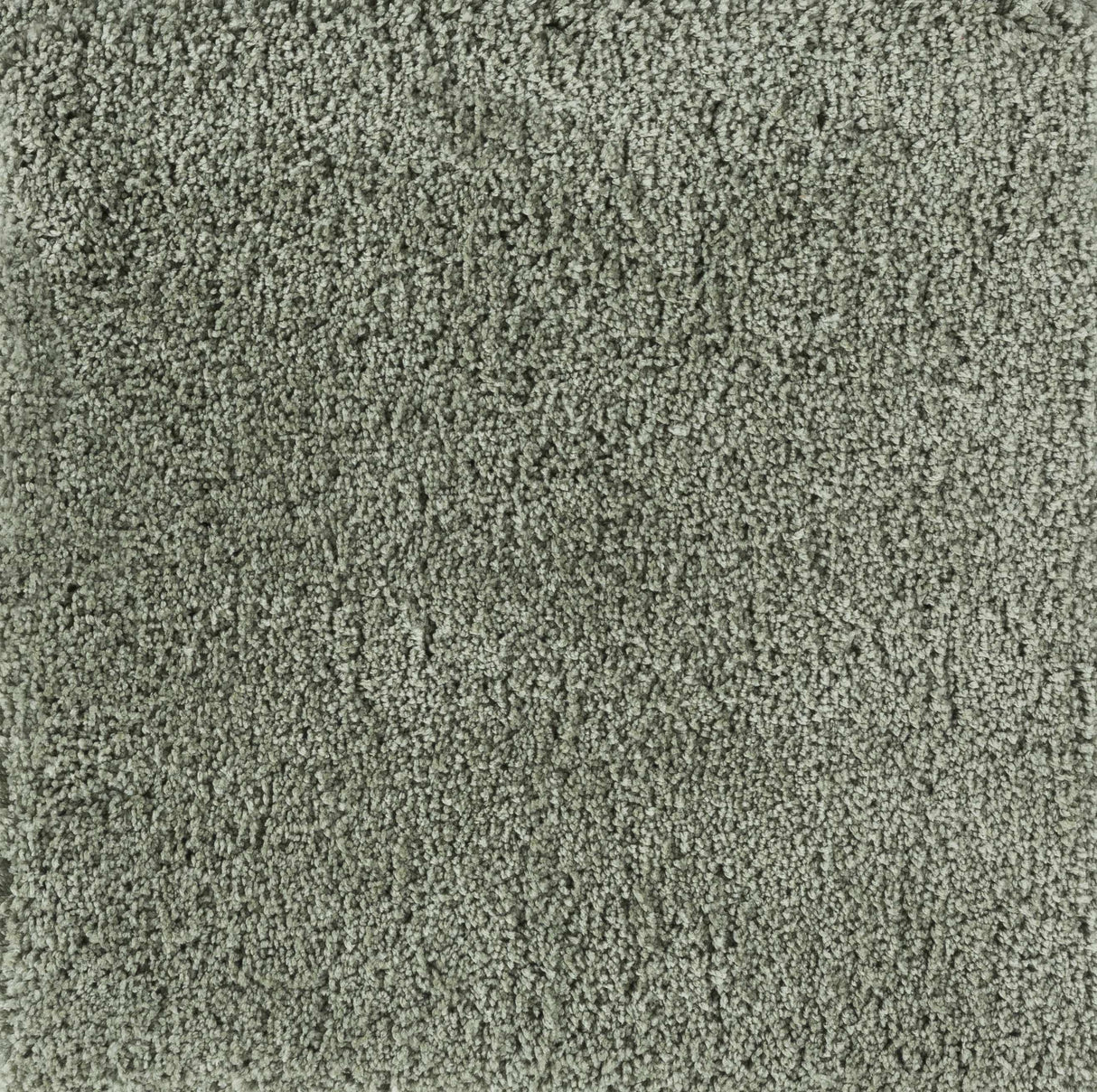Skidmore Area Rug - Clearance