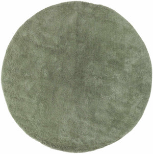 Skidmore Area Rug - Clearance