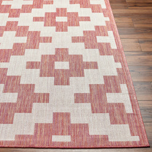 Arwa Area Carpet - Clearance