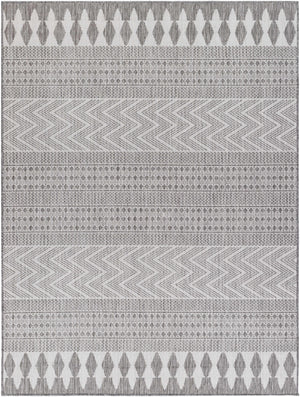 Asif Charcoal Area Rug - Clearance
