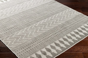 Asif Charcoal Area Rug - Clearance