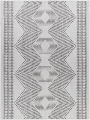 Evana Gray Area Rug - Clearance