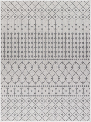 Lali Light Gray Area Rug - Clearance