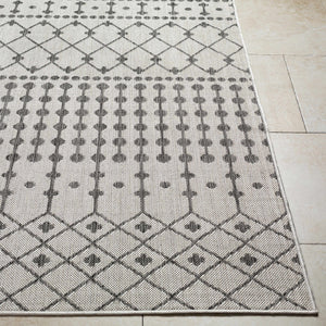 Lali Light Gray Area Rug - Clearance