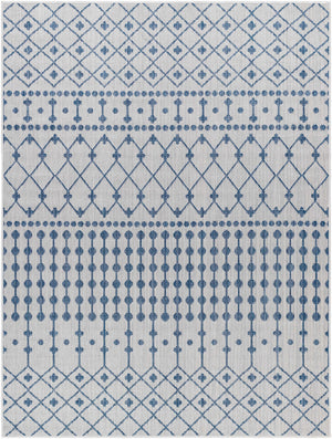 Lali Blue & Gray Area Rug - Clearance