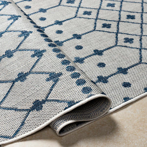 Lali Blue & Gray Area Rug - Clearance