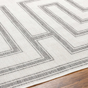 Taro Light Gray Area Rug - Clearance