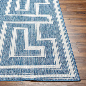 Taro Blue Area Rug - Clearance