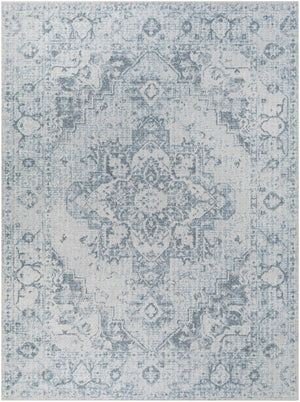 Ankti Aqua Washable Area Rug - Clearance