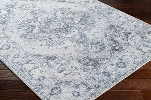 Ankti Aqua Washable Area Rug - Clearance