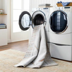 Remy Washable Area Rug - Clearance