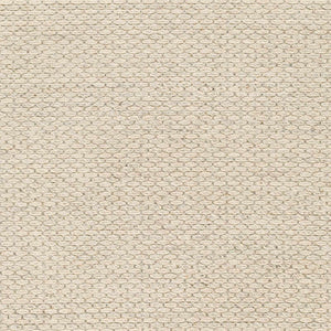 Beige Emlen Area Rug - Clearance