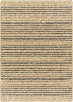 Aphea Indoor & Outdoor Rug