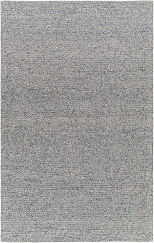 Alyra Light Blue Solid Area Rug - Clearance