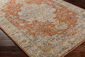 Aman Rust Area Rug - Clearance