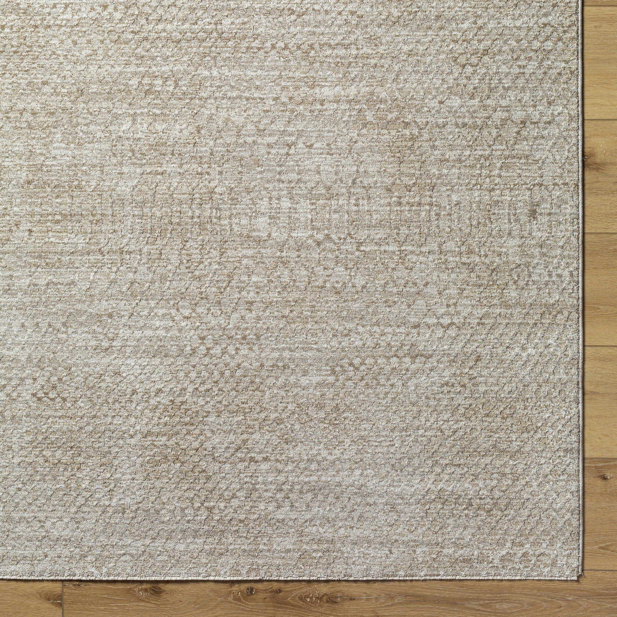 Kaiya Area Rug