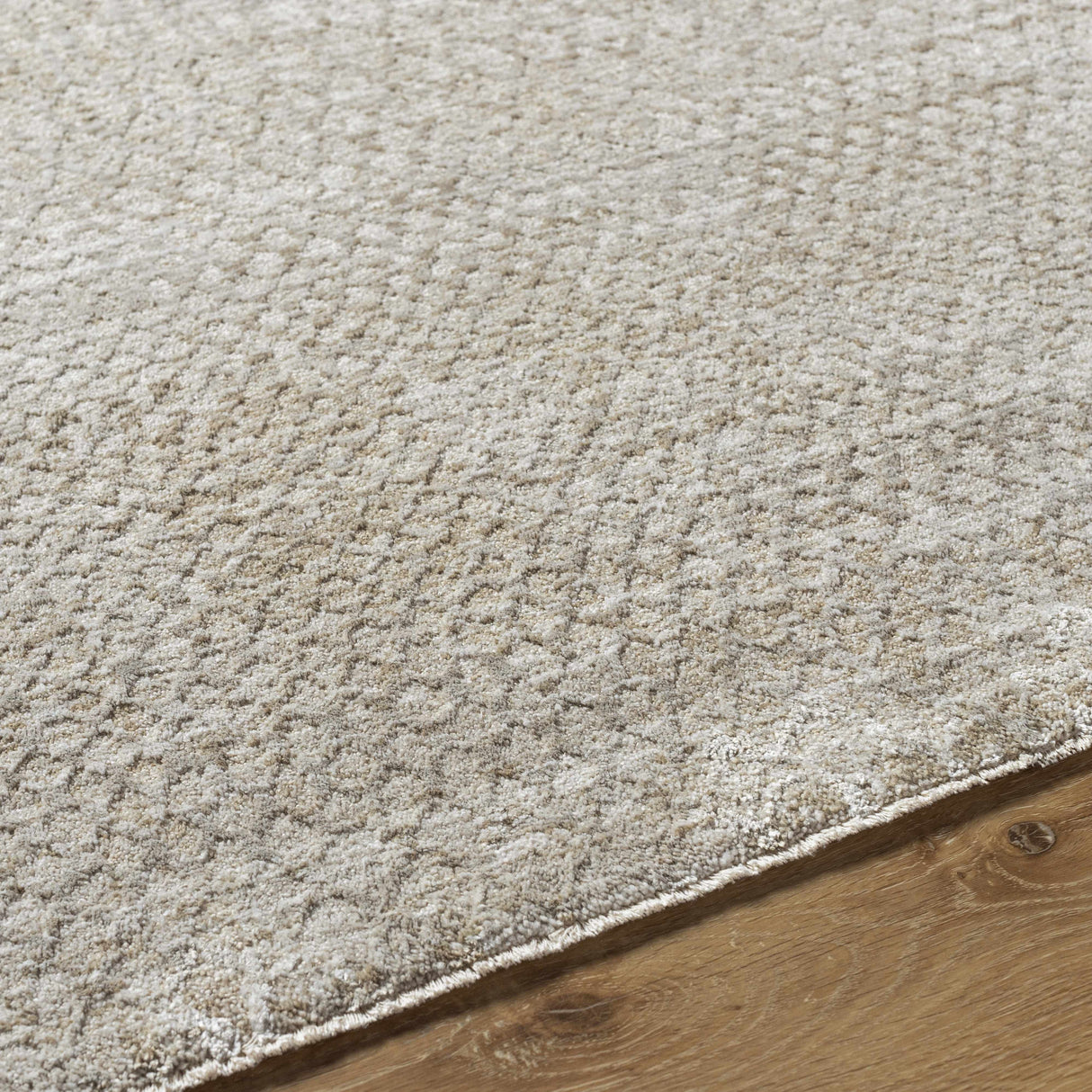 Kaiya Area Rug