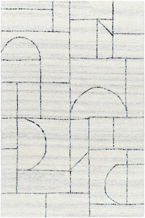 Sanaz Charcoal Area Rug - Clearance
