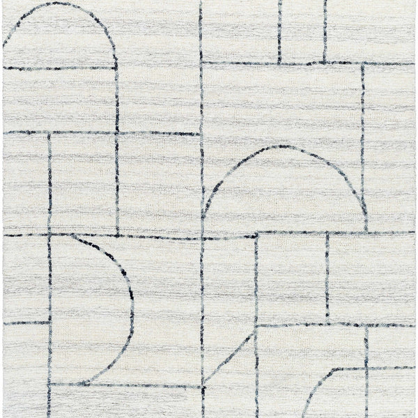 Sanaz Charcoal Area Rug - Clearance