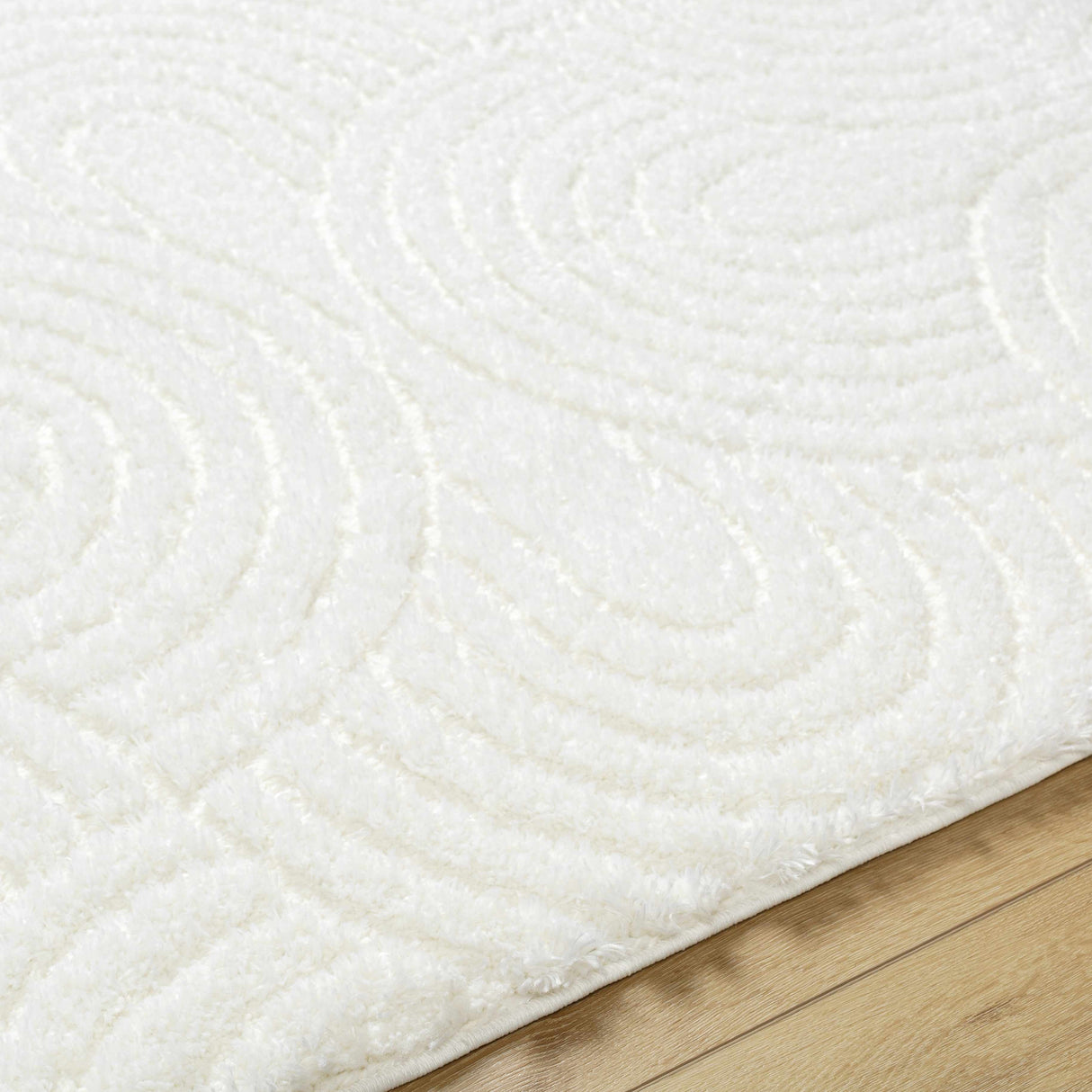 Kaoru Area Rug
