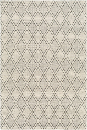 Aeron Area Rug - Clearance