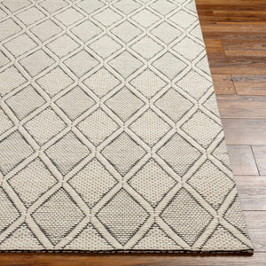 Aeron Area Rug - Clearance