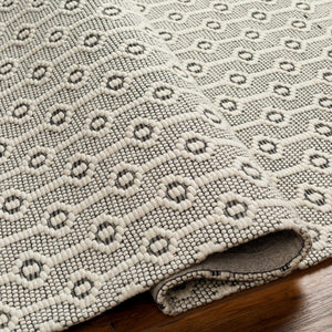 Puna Area Rug - Clearance