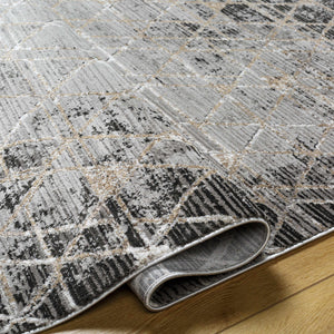 Luol Gray Area Rug - Clearance