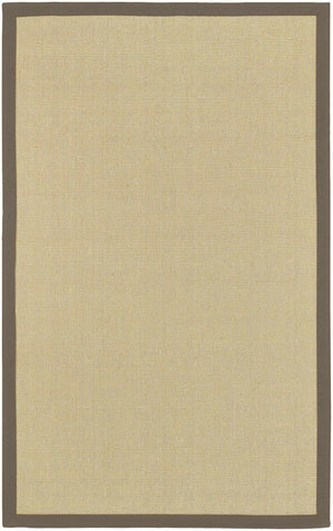 Hoolehua Area Rug - Clearance