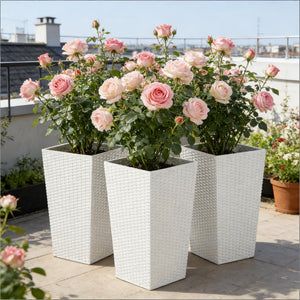 Spacious Plant Pots - view 2