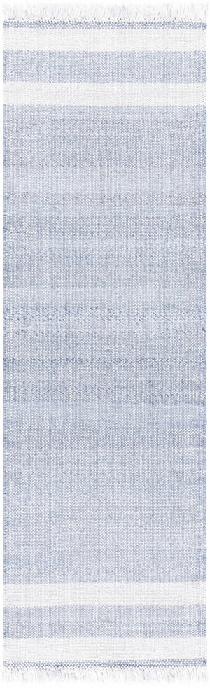 Loic Silver Blue Area Rug