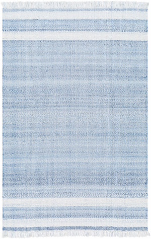 Loic Silver Blue Area Rug