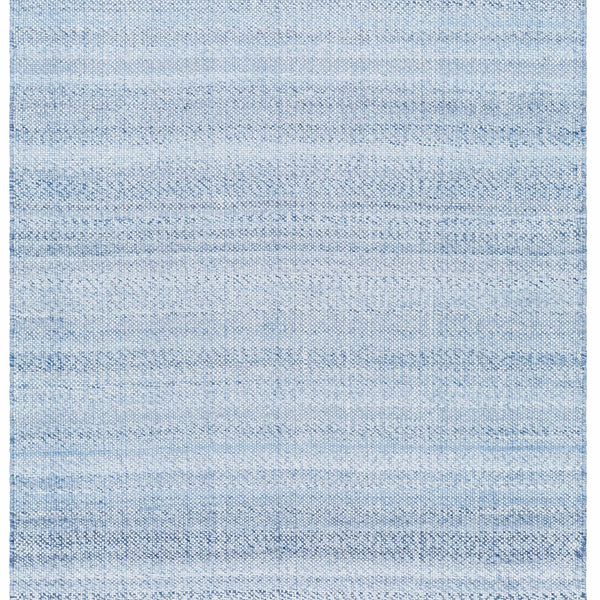 Loic Silver Blue Area Rug