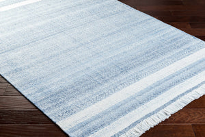 Loic Silver Blue Area Rug