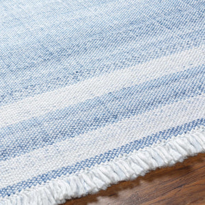 Loic Silver Blue Area Rug